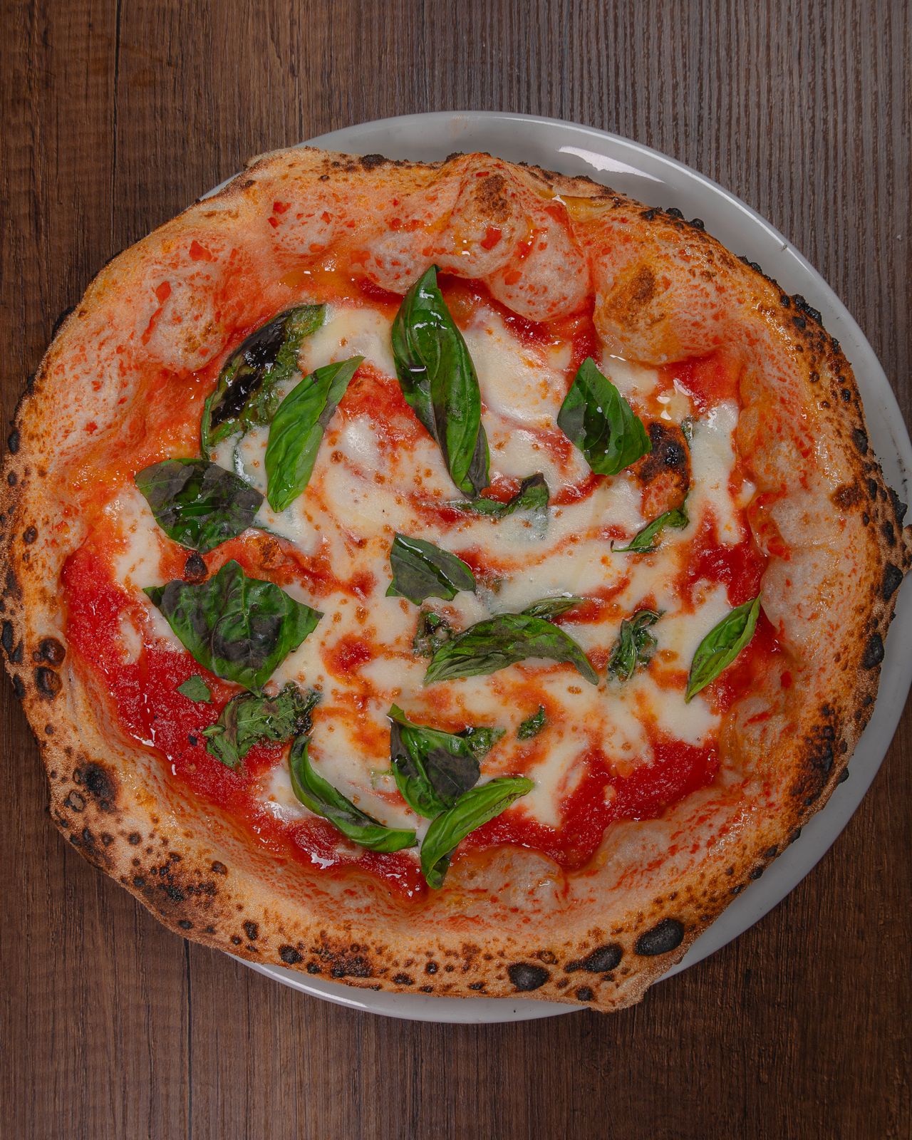 Margherita